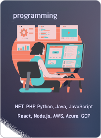 programing11